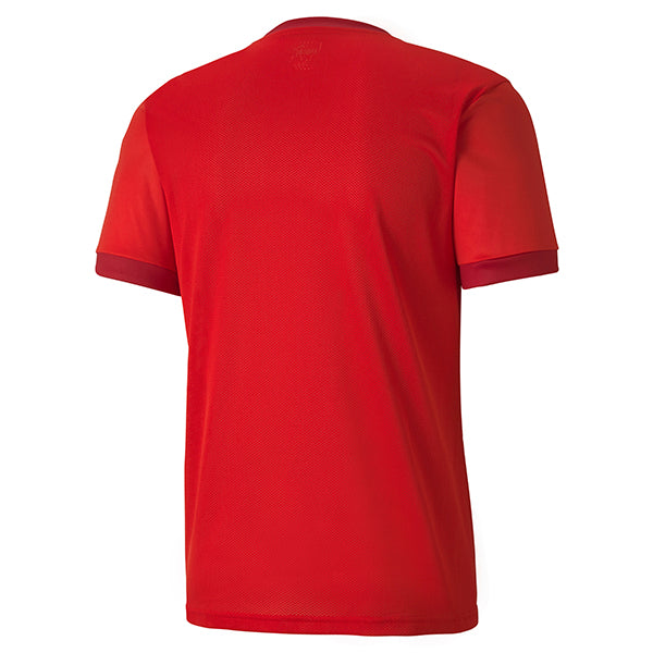 Puma Team Goal 23 Soccer Jersey