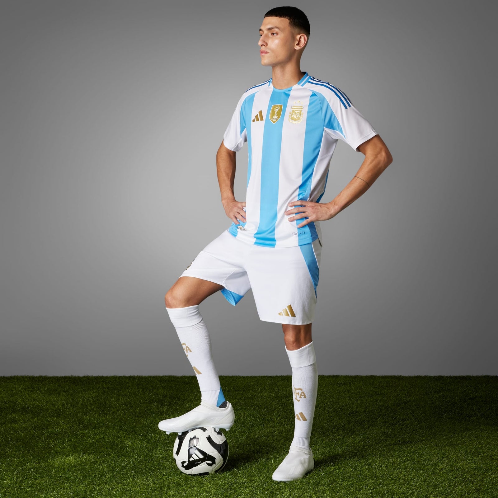 adidas ARGENTINA 2024 HOME AUTHENTIC JERSEY - IP8388-ADIDAS by adidas | Available at Niky's Sports