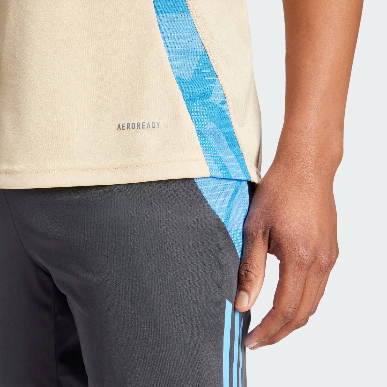 adidas Argentina Men's Training Jersey