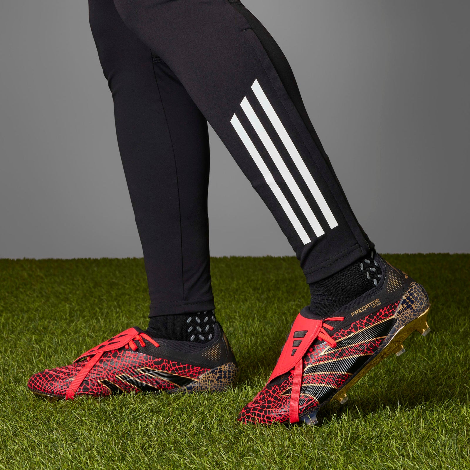 adidas Predator Elite FT Firmground Soccer Cleats Year Of The Snake - IH0958-ADIDAS by adidas | Available at Niky's Sports