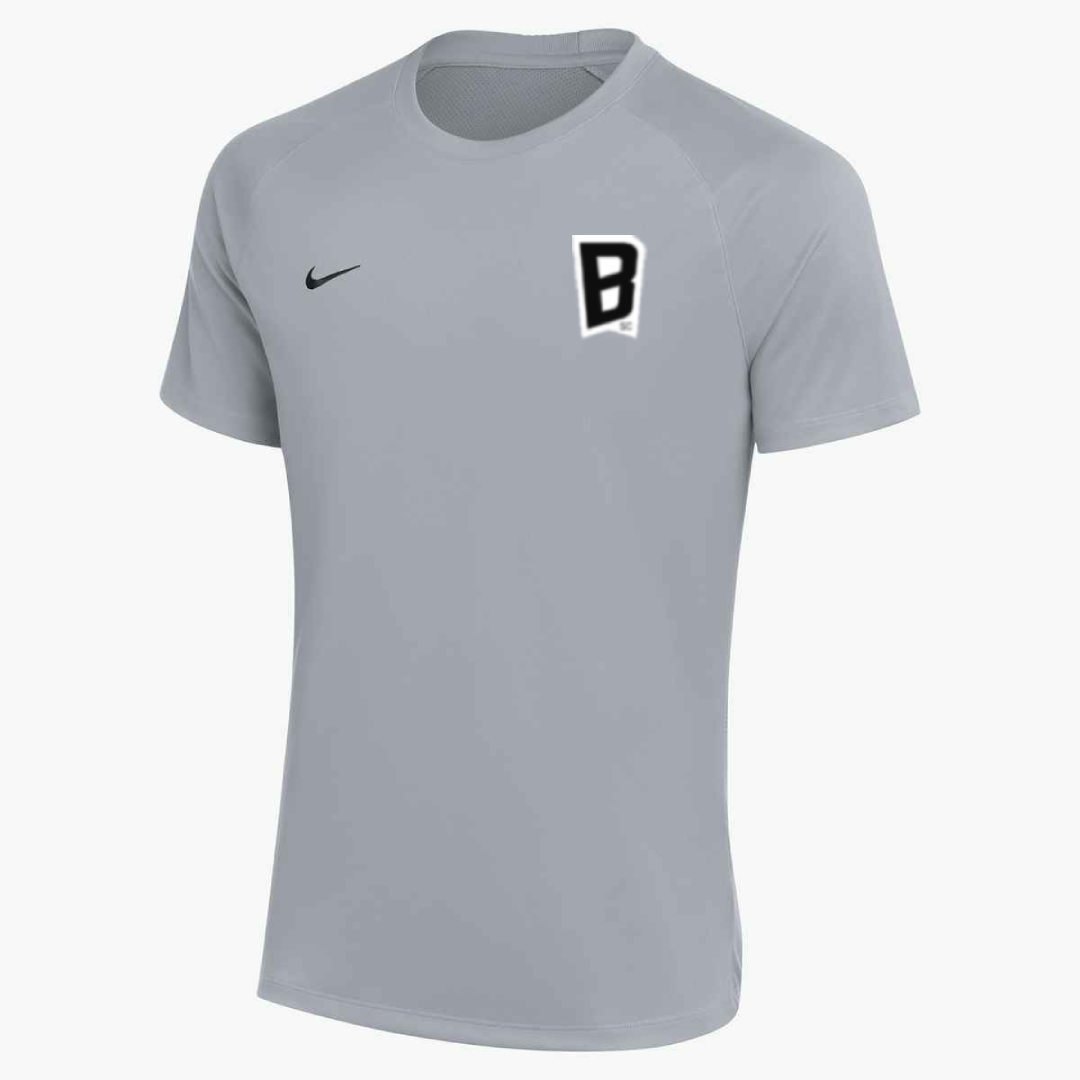 Nike SC Blues Park VIII Practice Soccer Jersey Grey