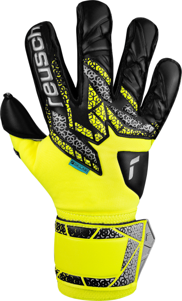 Reusch Attrakt Duo Evolution Goalkeeper Glove - 5570055-REUSCH by Reusch | Available at Niky's Sports