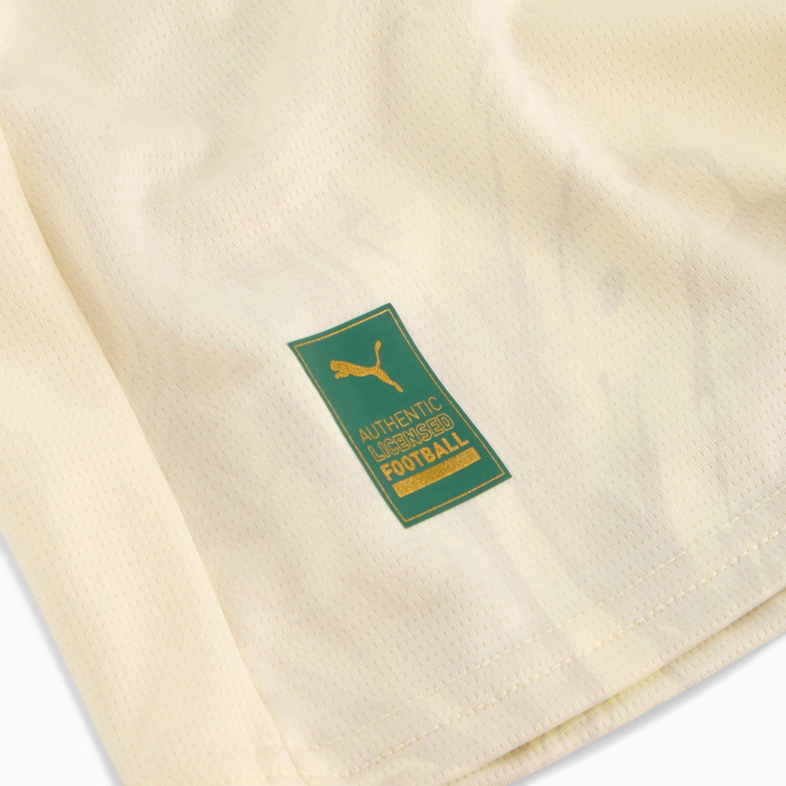 Puma KIDSUPER x Palmeiras Youth CWC Jersey - 781148-11-PUMA by Puma | Available at Niky's Sports