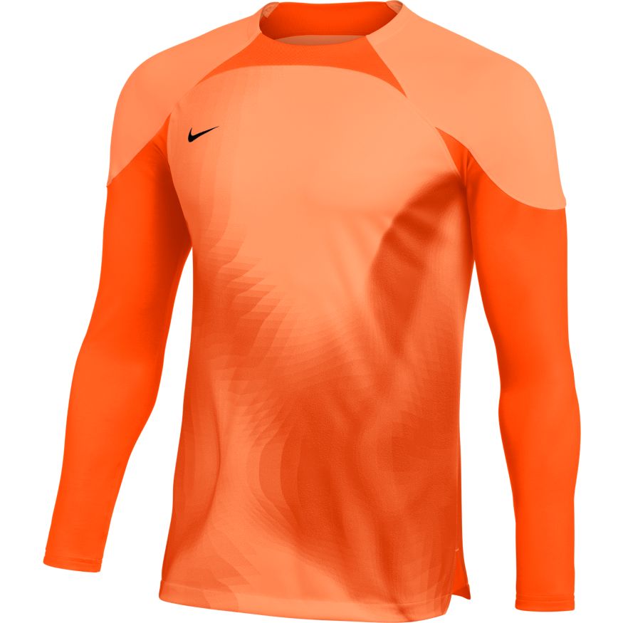 Nike Dri-FIT ADV Gardien 4 Goalkeeper Men's Long-Sleeve Soccer Jersey