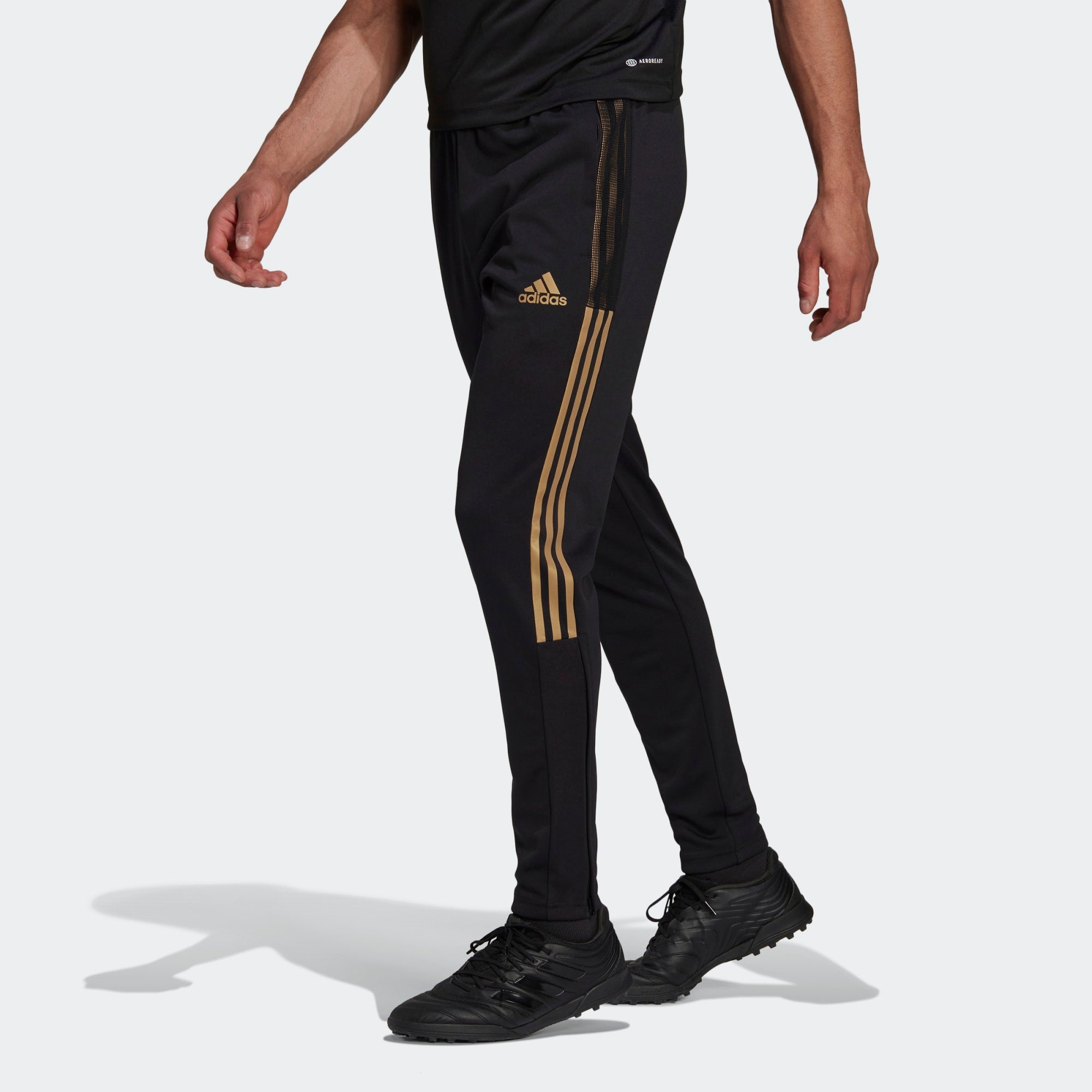 TRACK PANT everyone adidas (BLACK) M TRACK PANT everyone (BLACK