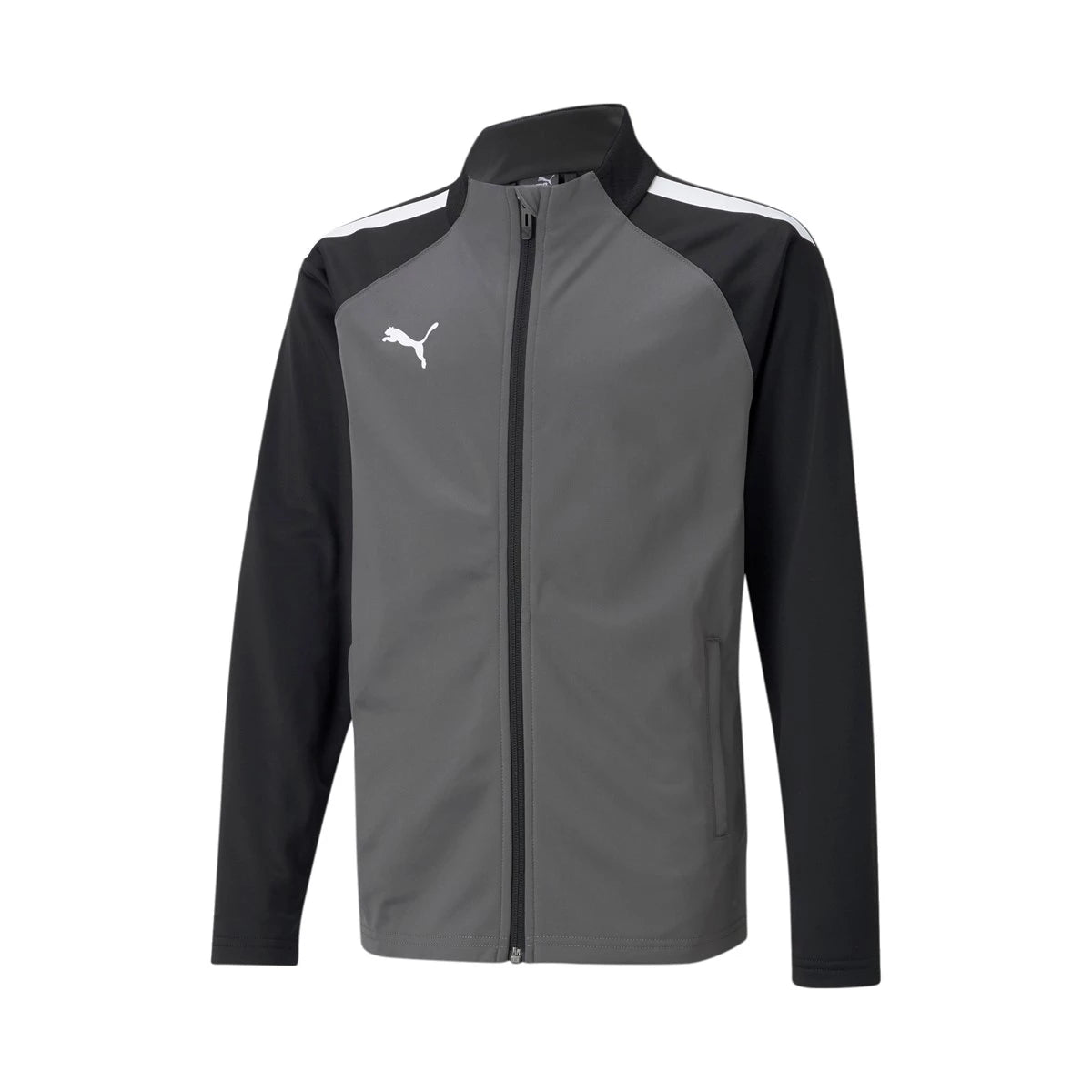 Puma Team Liga 25 Youth Training Jacket