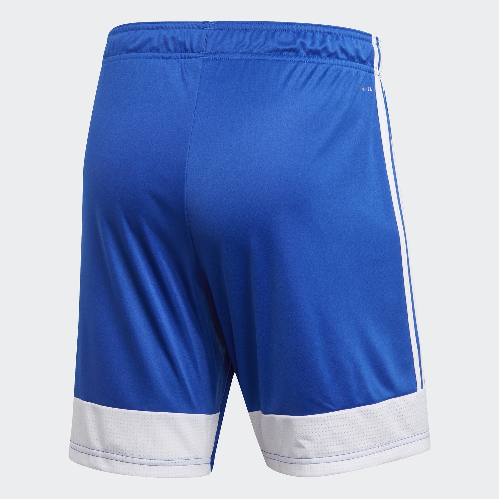 adidas Men's Tastigo 19 Shorts - Blue/White - DP3682-ADIDAS by Adidas | Available at Niky's Sports