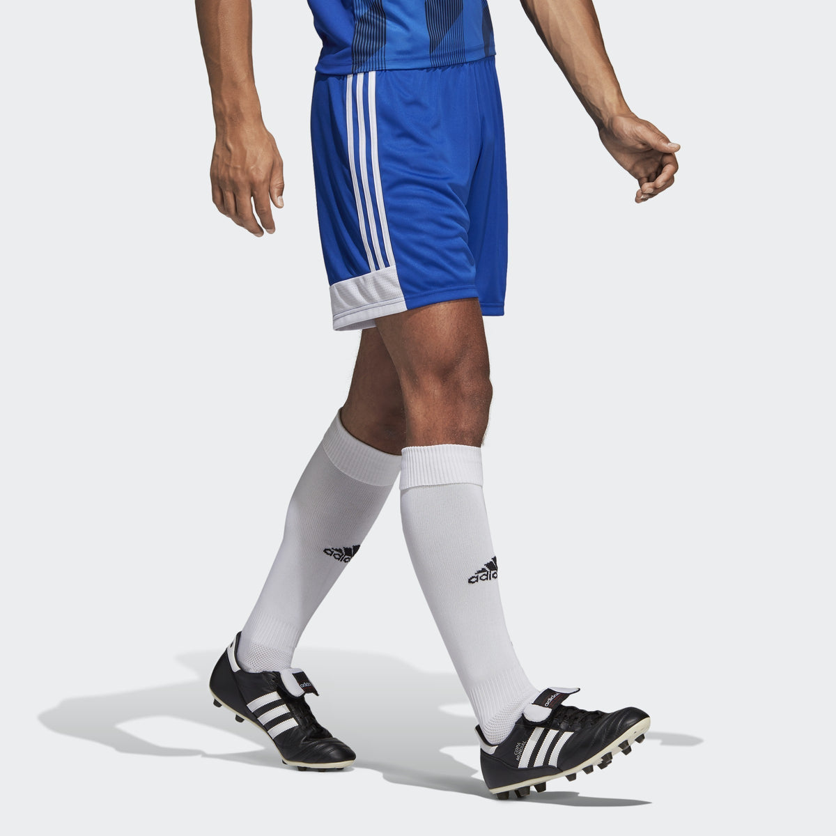adidas Men's Tastigo 19 Shorts - Blue/White - DP3682-ADIDAS by Adidas | Available at Niky's Sports