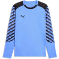 Puma TEAMLIGA26 GoalKeeper Long Sleeve JERSEY