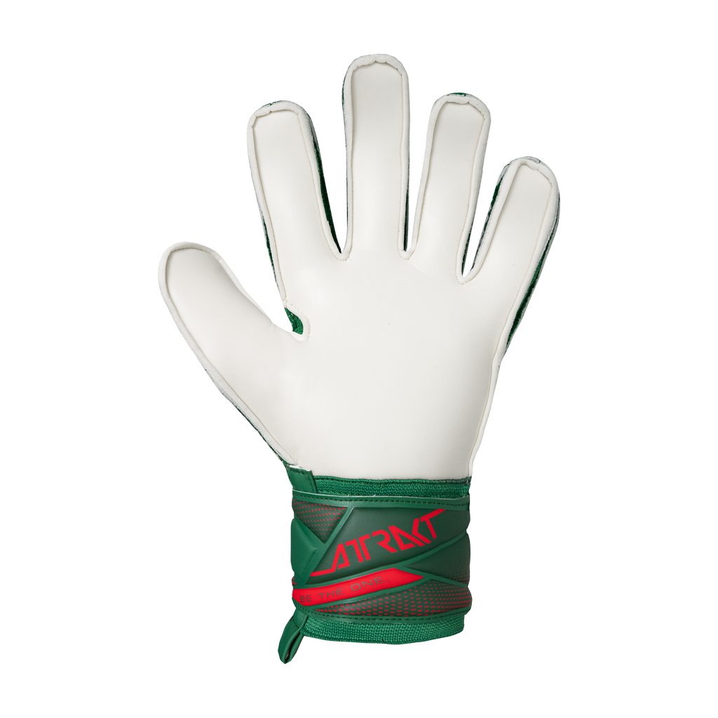 Reusch Attrakt Solid Junior Mexico Colors Goalkeeper Gloves - 5672516-5248-REUSCH by Reusch | Available at Niky's Sports