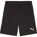 Puma Men's Team Goal Shorts