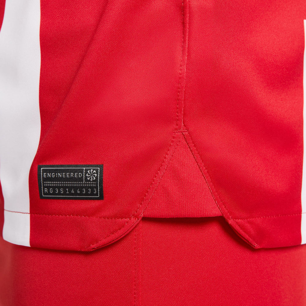 Nike Atletico Madrid 2023/24 Stadium Home Men's Dri-FIT Soccer Jersey - DX2680-613-NIKE by Nike | Available at Niky's Sports