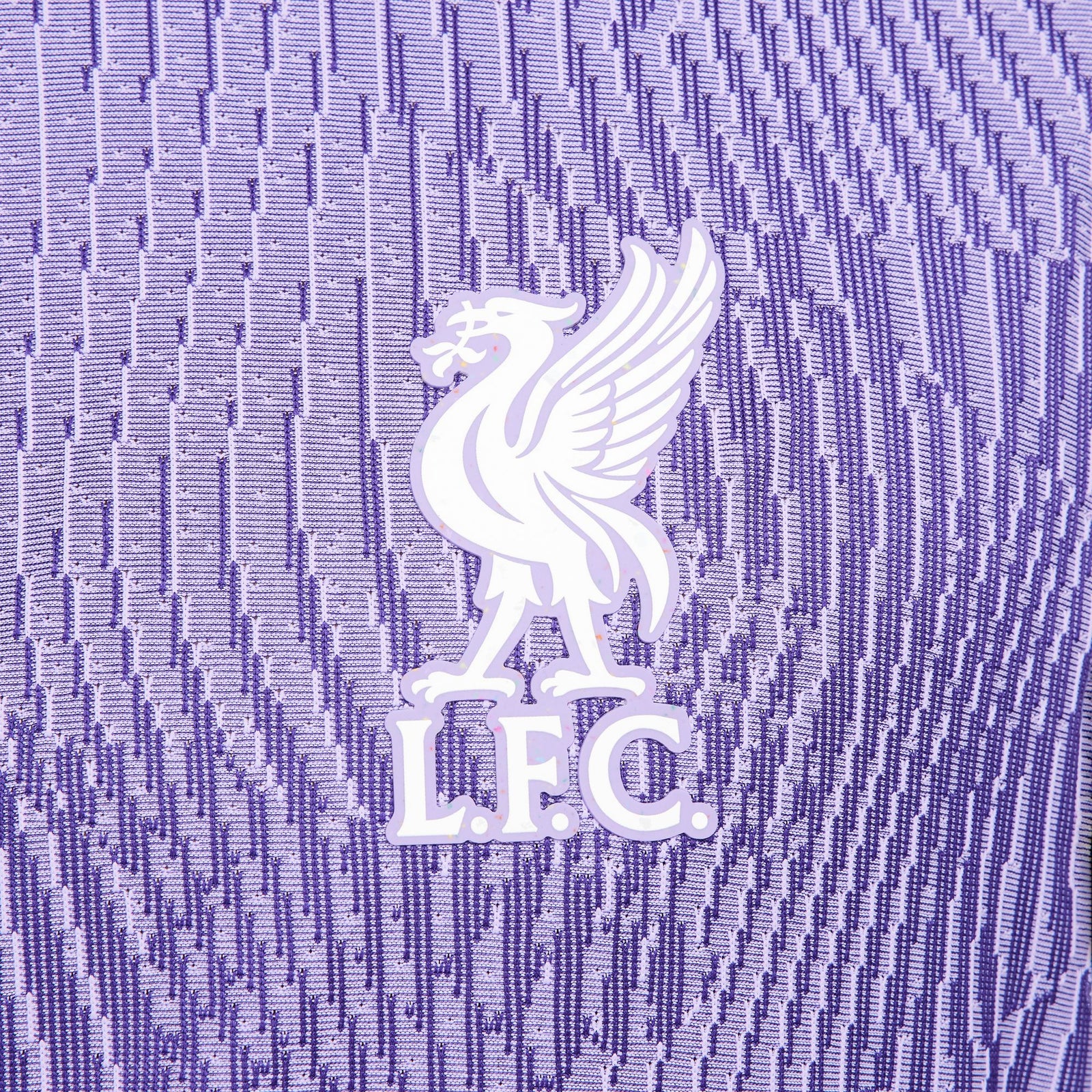Nike Liverpool FC 23/24 Match Third Men's Dri-FIT ADV Soccer