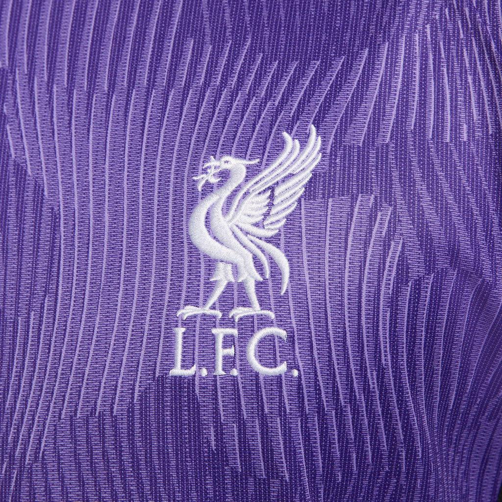 Nike Liverpool FC 2023/24 Stadium Third Men's Dri-FIT Soccer Jersey - DX9822-568-NIKE by Nike | Available at Niky's Sports