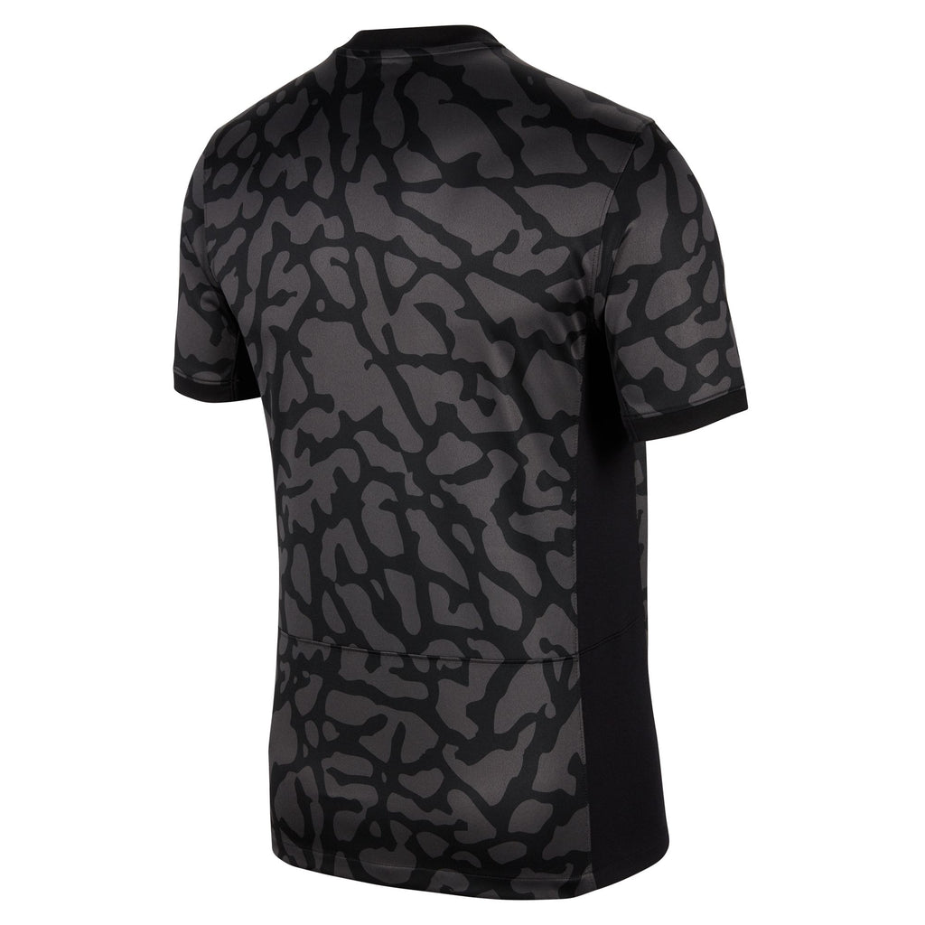 Jordan Paris Saint-Germain 2023/24 Stadium Third Men's Dri-FIT Soccer Jersey - DX9823-069-NIKE by Nike | Available at Niky's Sports