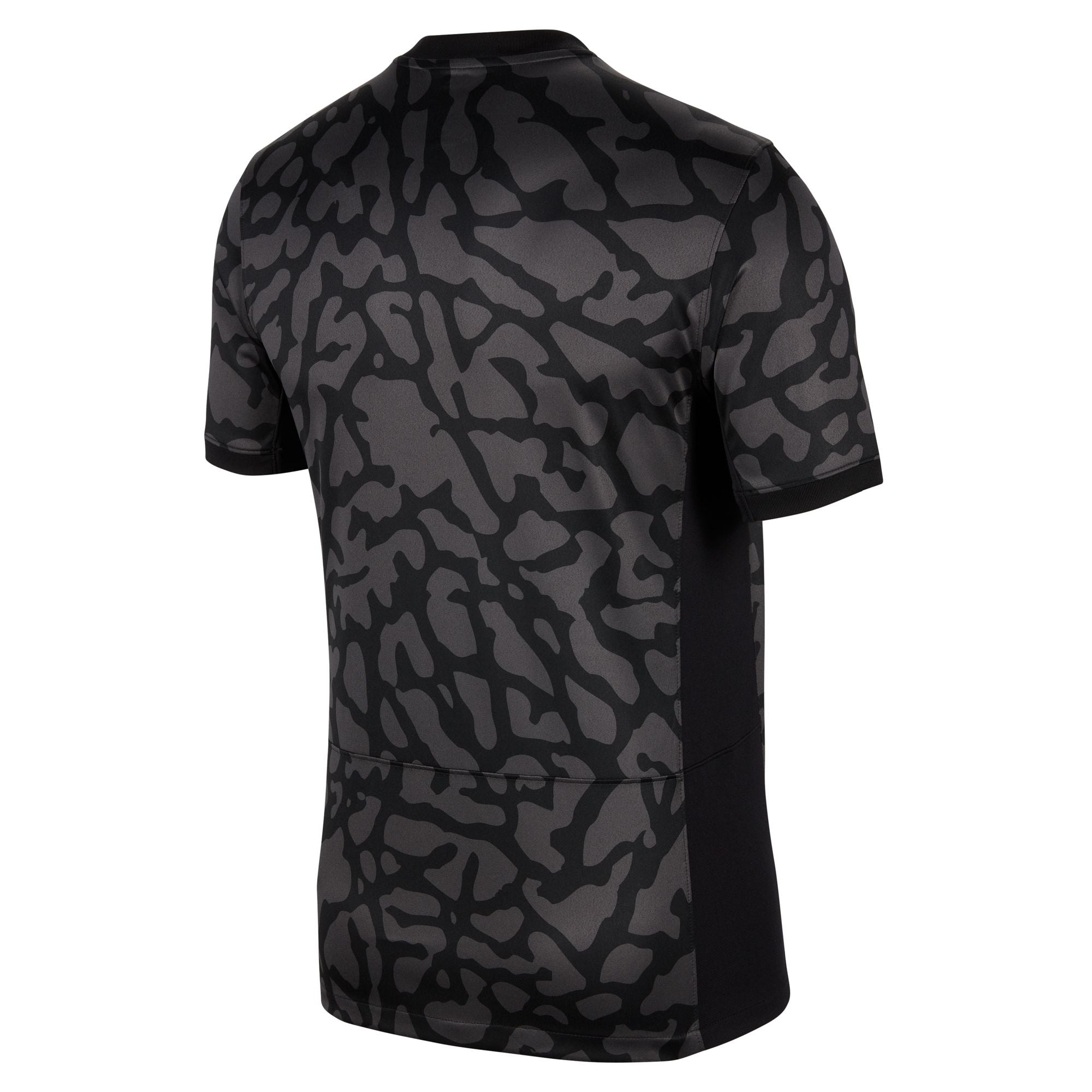 Jordan Paris Saint-Germain 2023/24 Stadium Third Men's Dri-FIT Soccer Jersey - DX9823-069-NIKE by Nike | Available at Niky's Sports