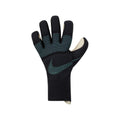 Nike VaporGrip3 Dynamic Fit Goalkeeper Gloves
