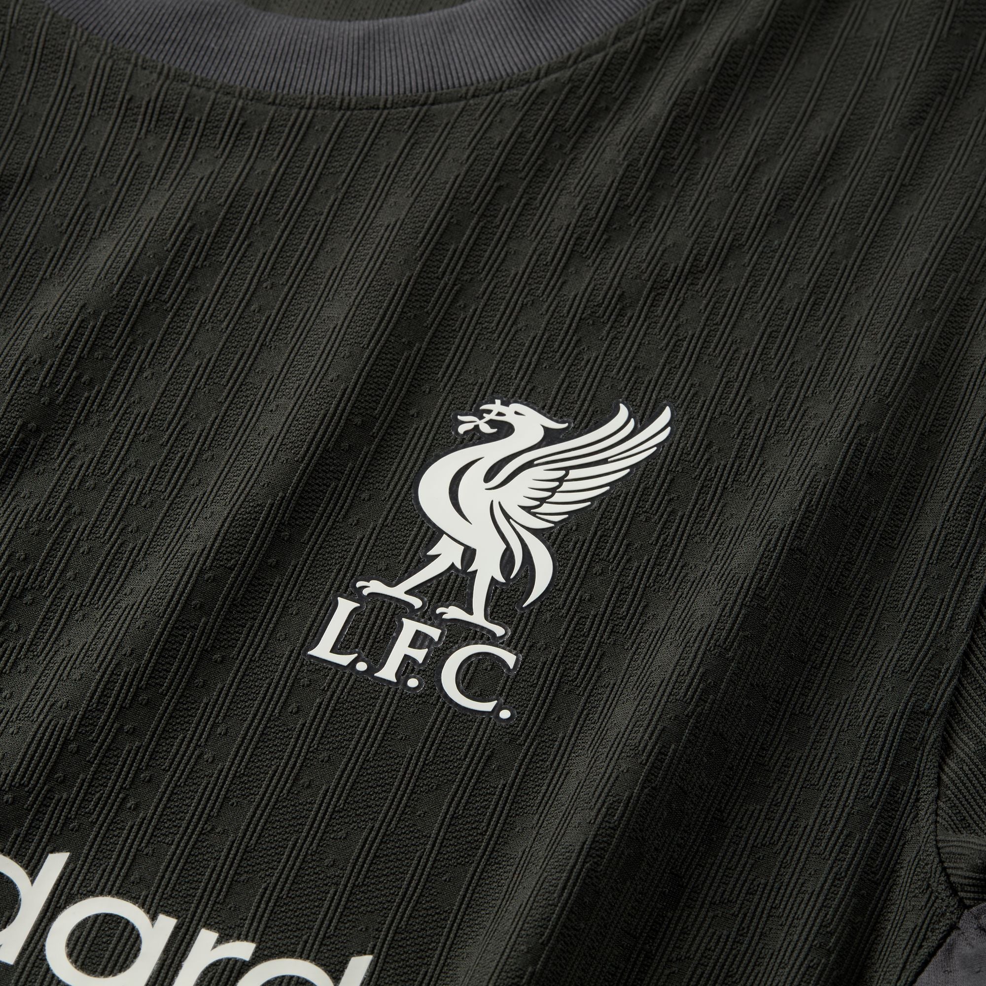 Nike Liverpool FC 2024/25 Match Away Men's Dri-FIT ADV Soccer Authentic Jersey - FN8761-322-NIKE by Nike | Available at Niky's Sports