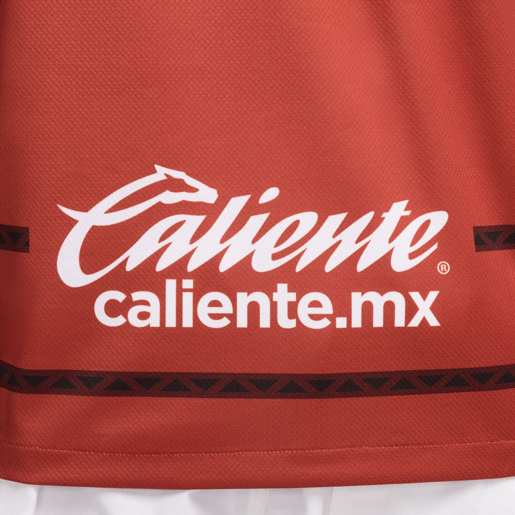 Nike Pumas UNAM 2024 Stadium Goalkeeper Men's Dri-FIT Soccer Replica Jersey - FN8811-805-NIKE by Nike | Available at Niky's Sports