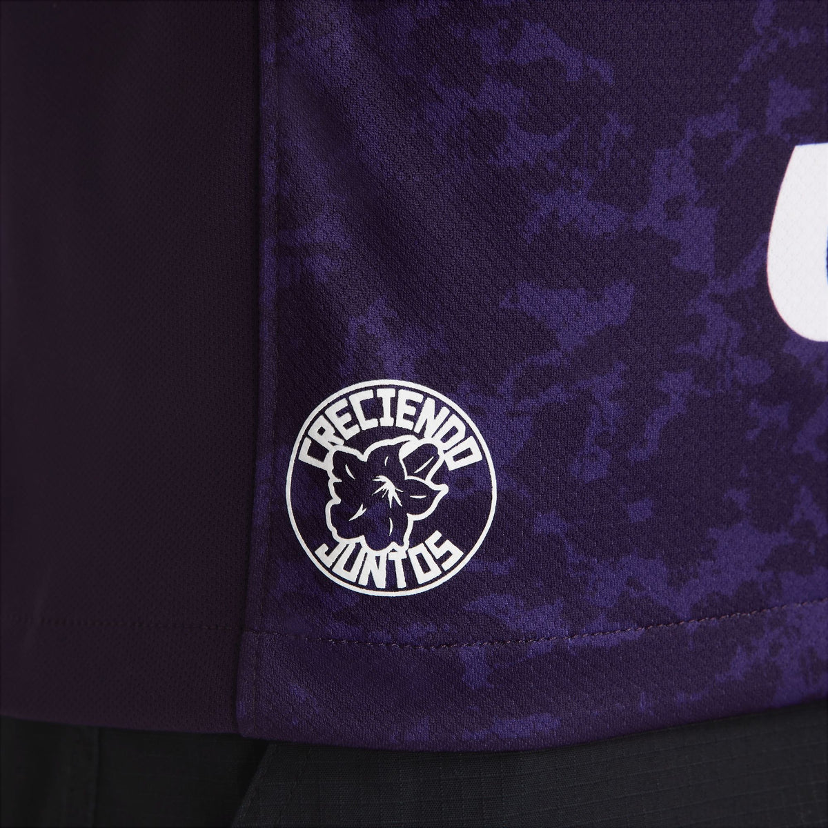 Nike Pumas UNAM 2024/25 Stadium Third Men's Dri-FIT Soccer Replica Jersey - FQ4290-526-NIKE by Nike | Available at Niky's Sports