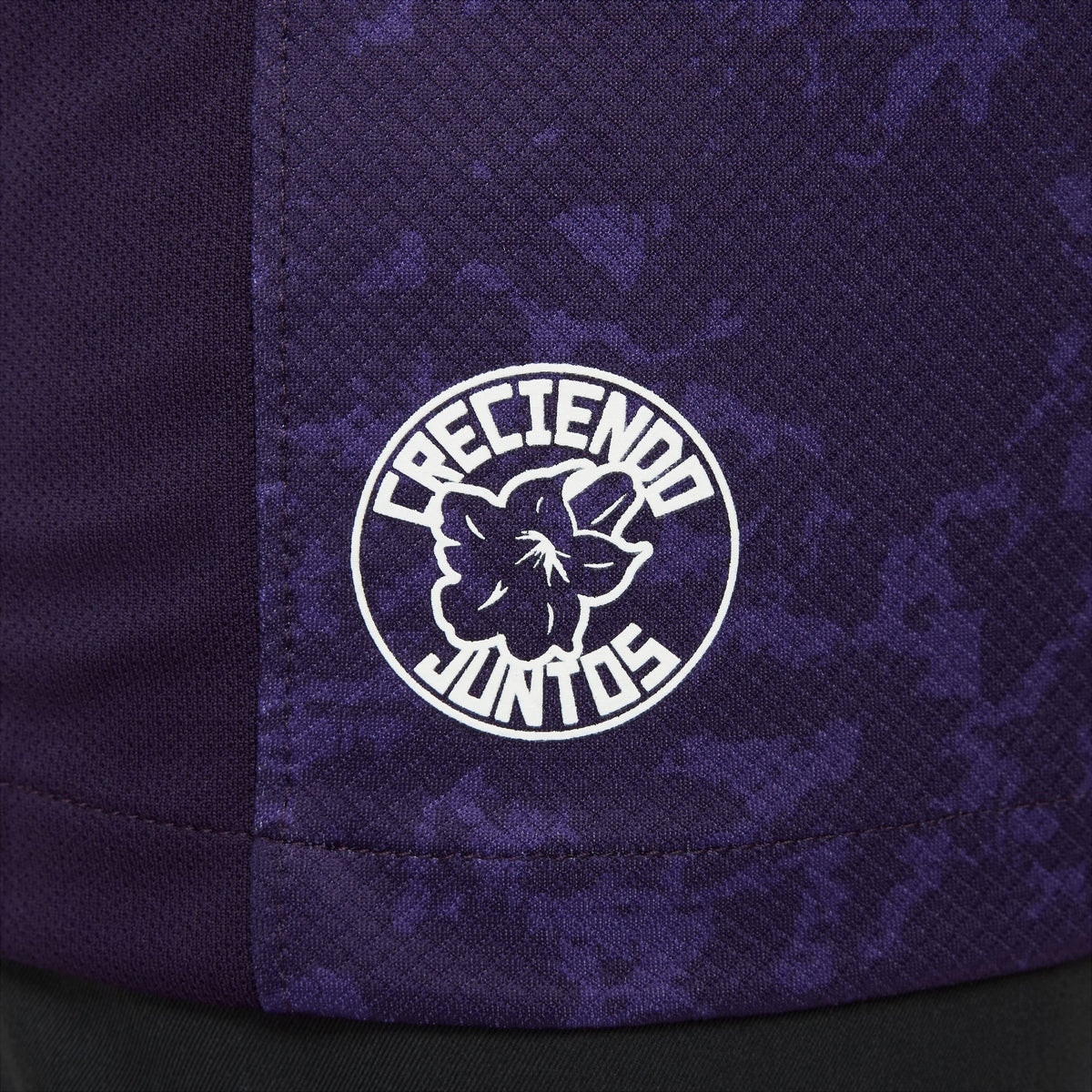 Nike Pumas UNAM 2024/25 Stadium Third Big Kids' Dri-FIT Soccer Replica Jersey - FQ4526-525-NIKE by Nike | Available at Niky's Sports