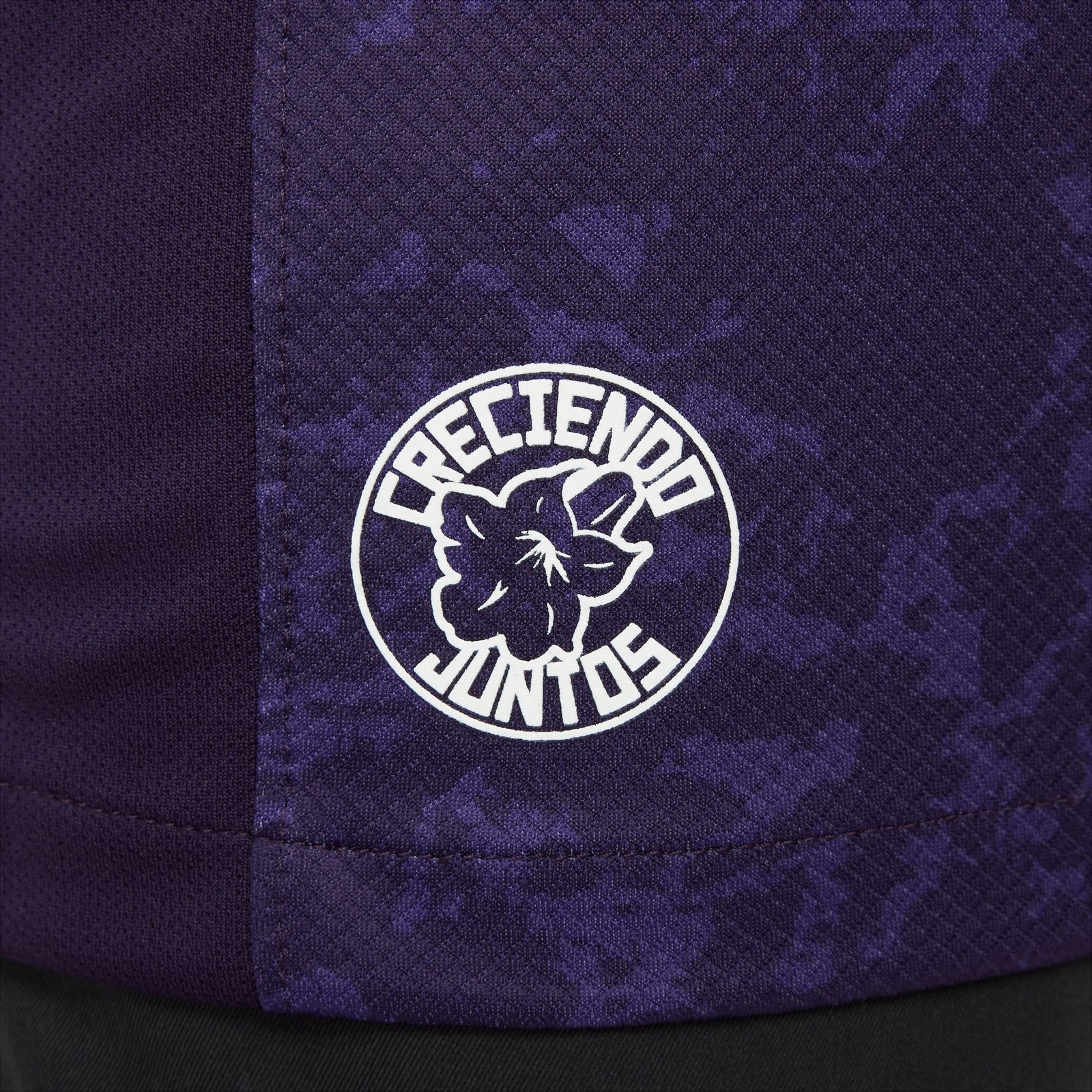 Nike Pumas UNAM 2024/25 Stadium Third Big Kids' Dri-FIT Soccer Replica Jersey - FQ4526-525-NIKE by Nike | Available at Niky's Sports