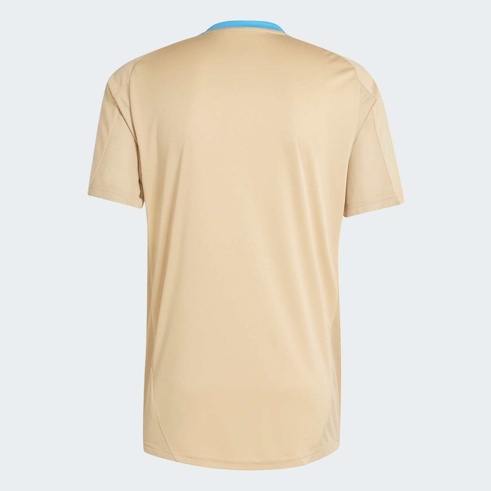 adidas Argentina Men's Training Jersey
