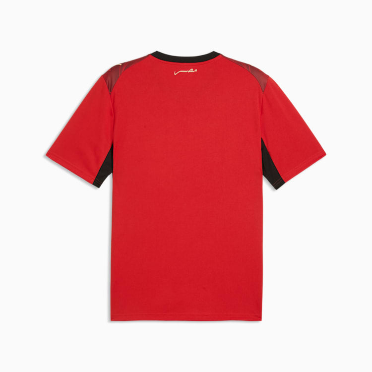 Puma Egypt 26 Home Men's Soccer Jersey