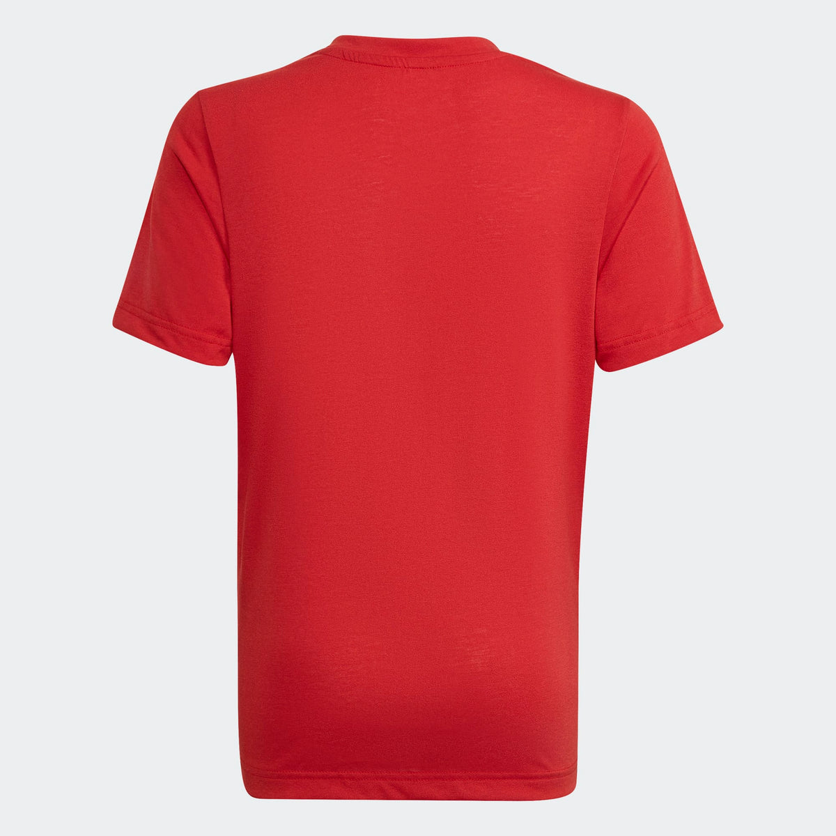 adidas Entrada 22 Youth Poly Tee
