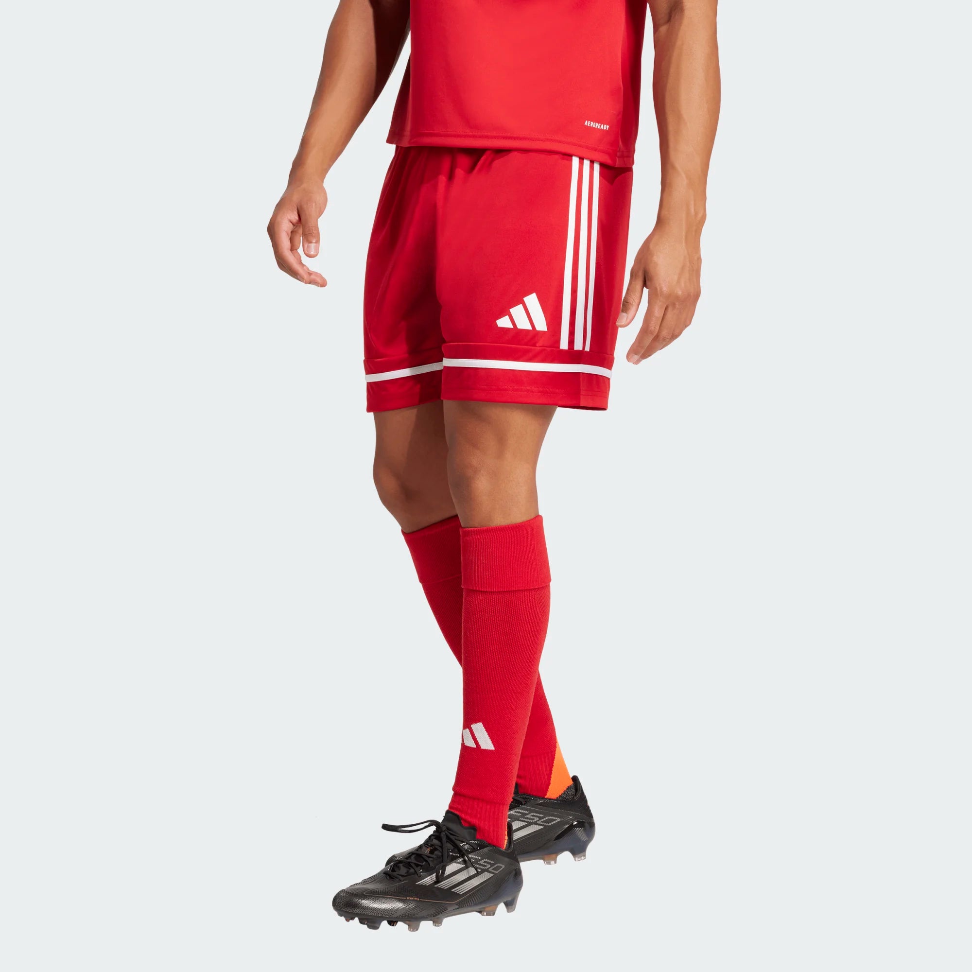 adidas Squadra 25 Men's Soccer Short - JN5466-ADIDAS by adidas | Available at Niky's Sports