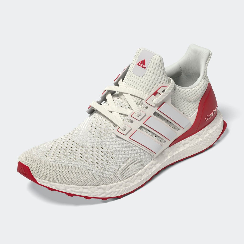 adidas ULTRABOOST 1.0 SHOES