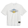 adidas THRASHER x AFA ARGENTINA T-Shirt - KX4544-ADIDAS by adidas | Available at Niky's Sports