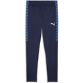 Puma TEAMLIGA26 TRAINING PANTS