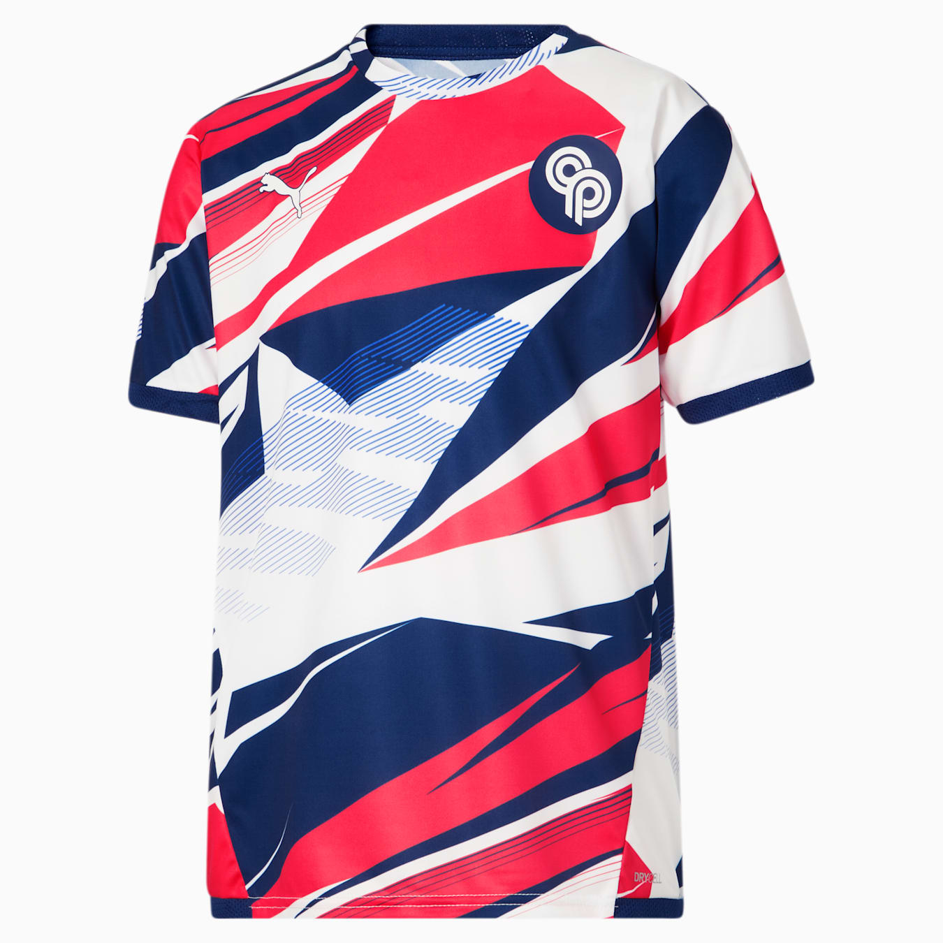 PUMA x CHRISTIAN PULISIC CP10 Soccer Jersey Big Kids