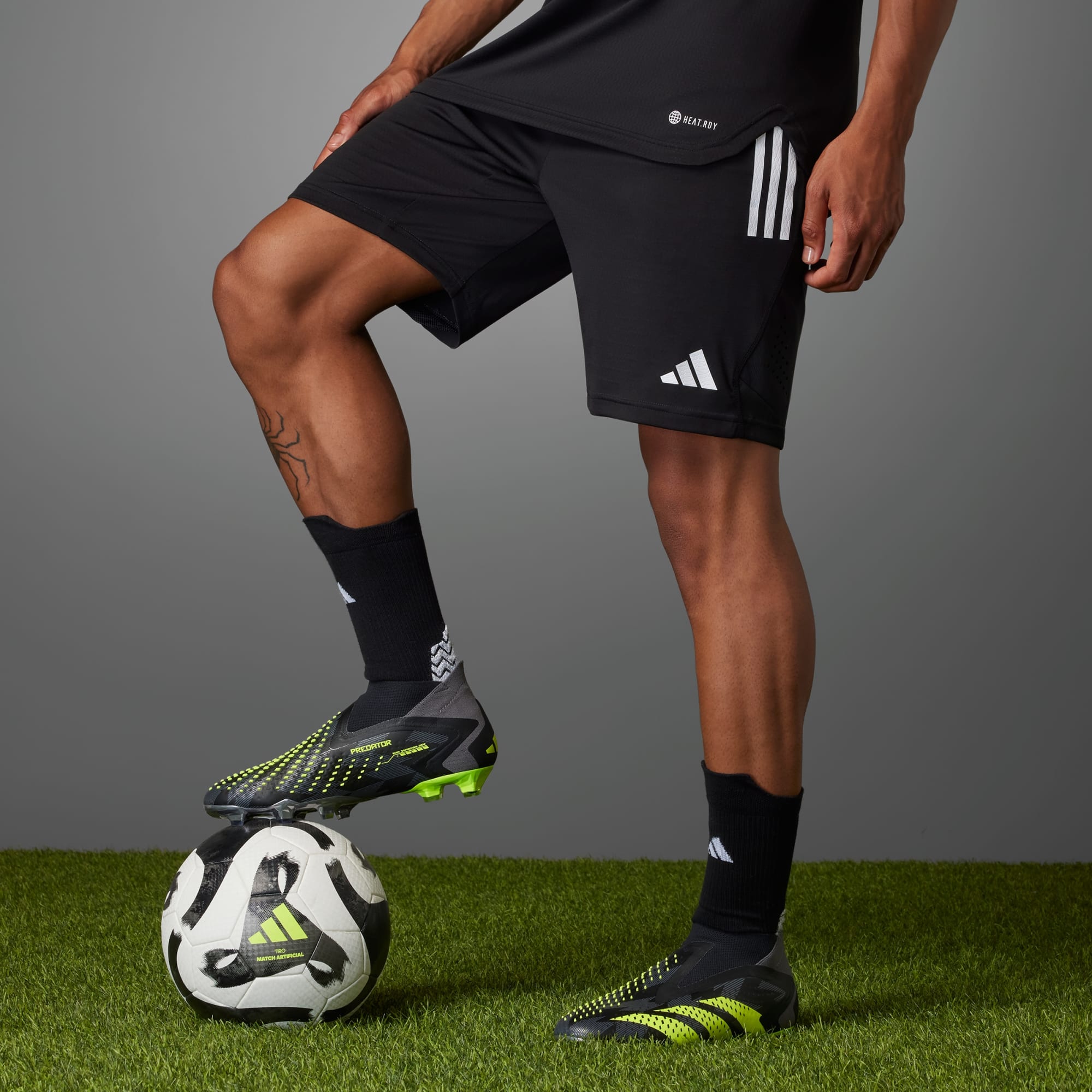 Adidas predator shorts sales