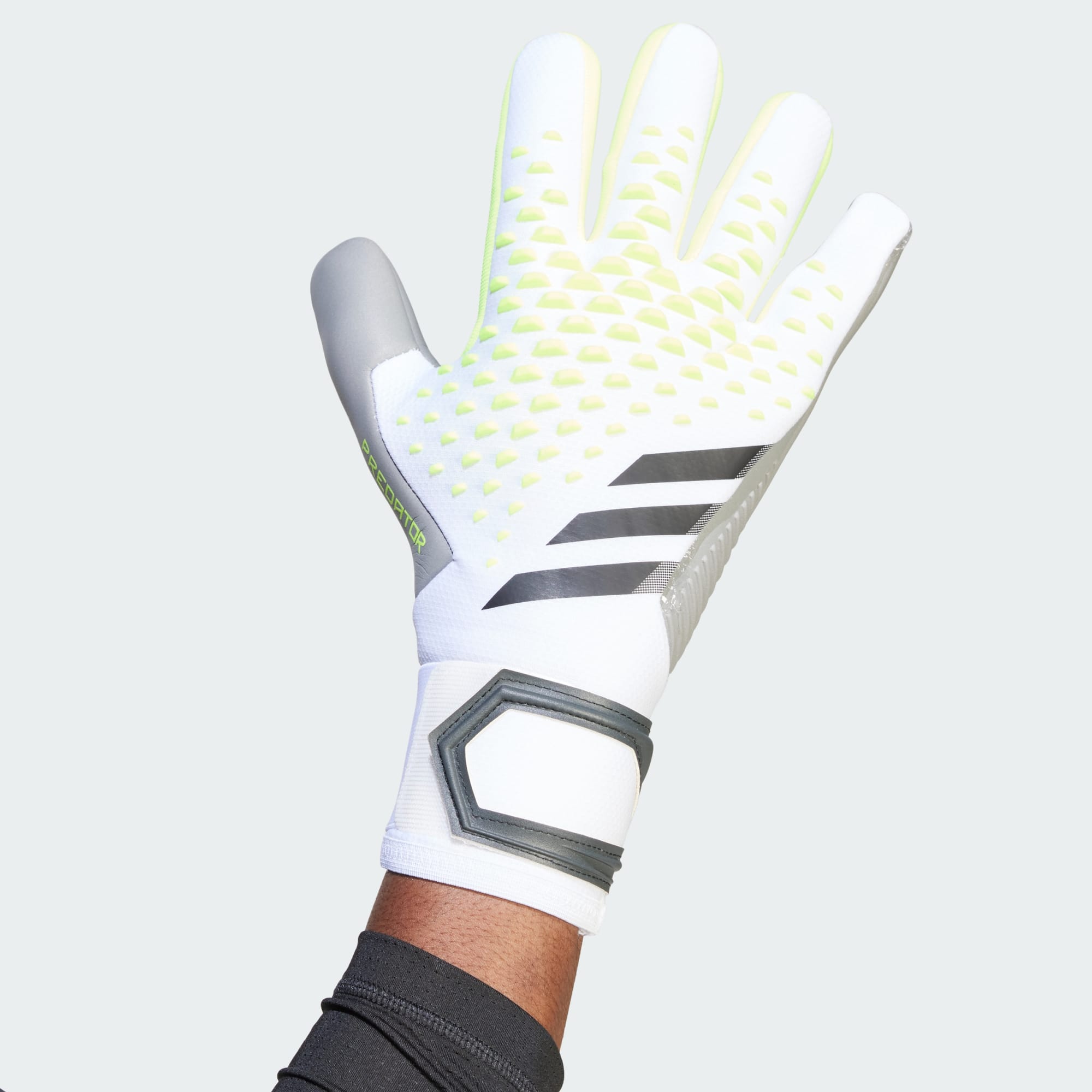 Predator 20 Pro Goalkeeper Glove