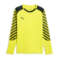 Puma TEAMLIGA26 GoalKeeper Long Sleever JERSEY