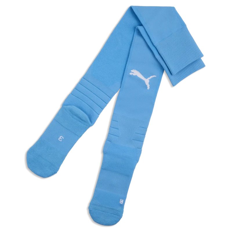 Puma TEAMLIGA26 SOCKS