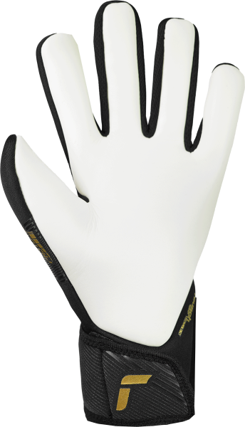 Reusch Fastgrip Silver Goalkeeper Glove - 5570200-REUSCH by Reusch | Available at Niky's Sports