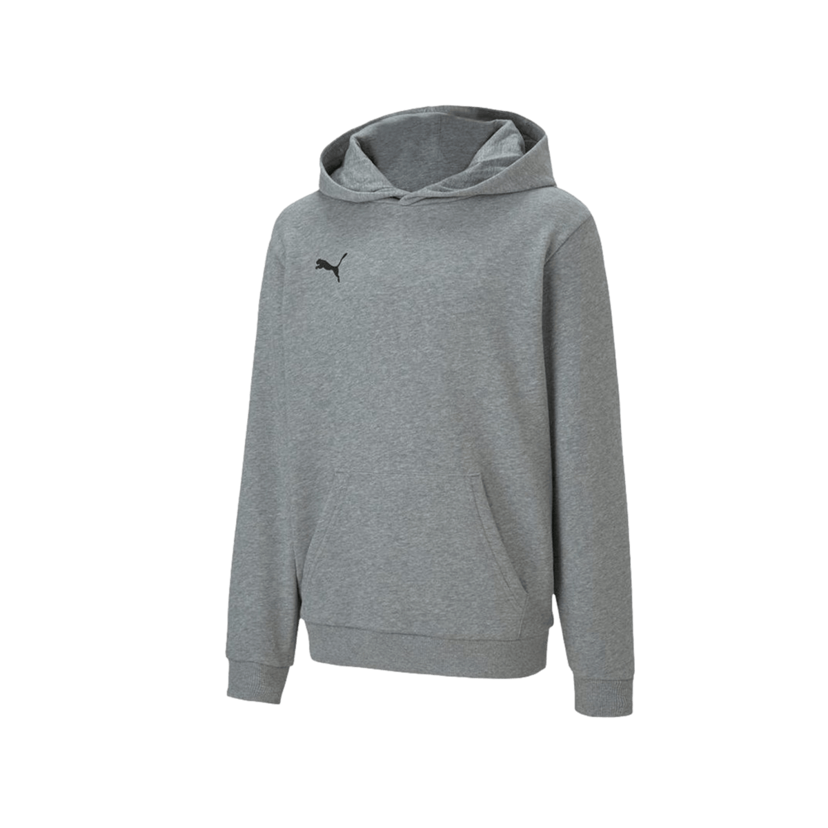 Puma Team Goal 23 Causals Youth Hoodie - Grey