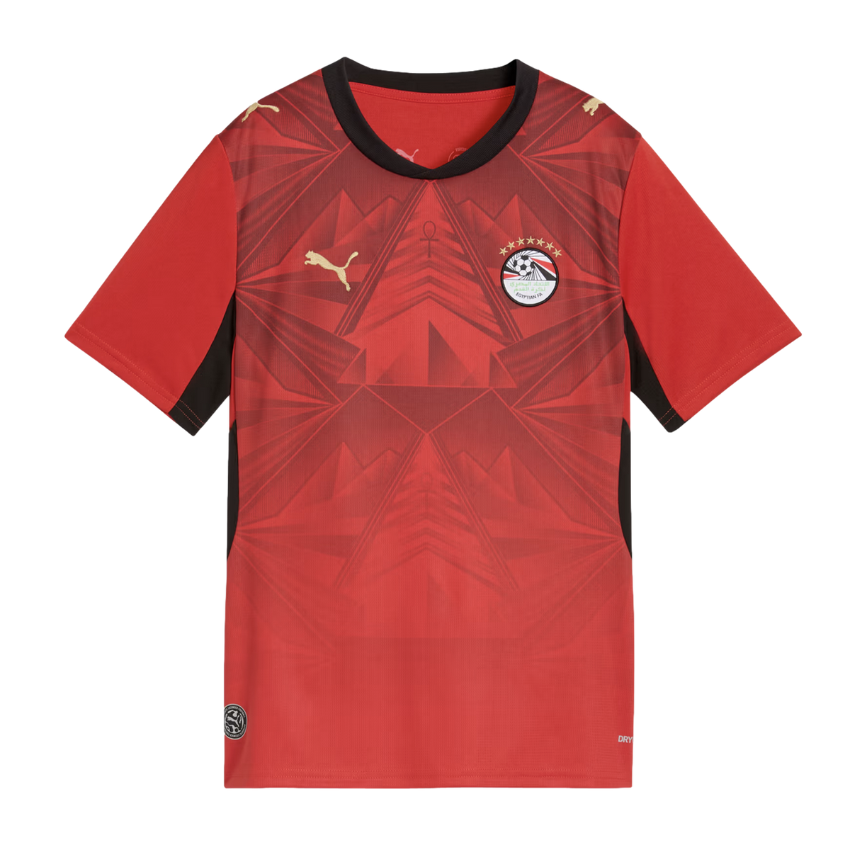 Puma Egypt 26 Kids' Home Stadium Jersey - 783554-01-PUMA by Puma | Available at Niky's Sports