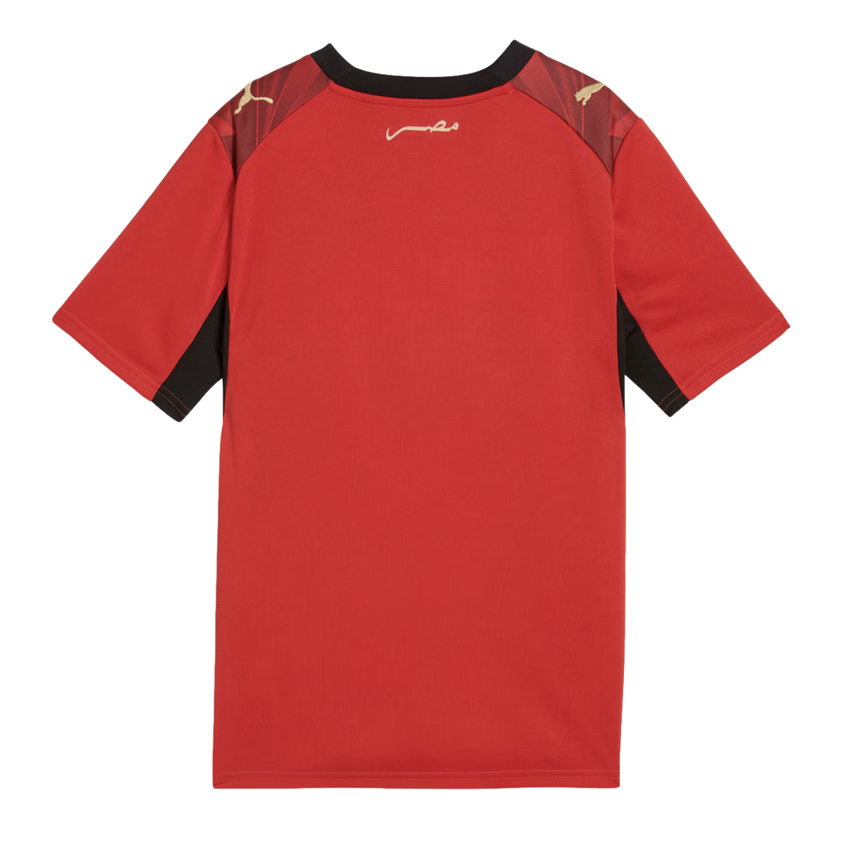 Puma Egypt 26 Kids' Home Stadium Jersey - 783554-01-PUMA by Puma | Available at Niky's Sports