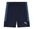 Puma TEAMLIGA26 TRAINING SHORTS