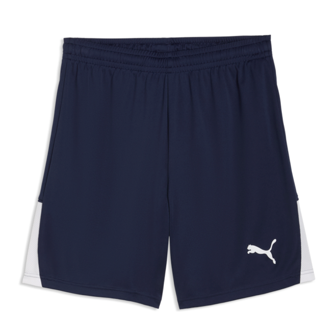 Puma TEAMLIGA26 SHORTS