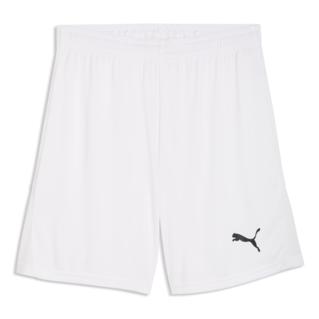 Puma TEAMLIGA26 SHORTS