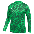 Nike Dri-FIT Gardien V GK Jersey US Women's Soccer Long-Sleeve Jersey