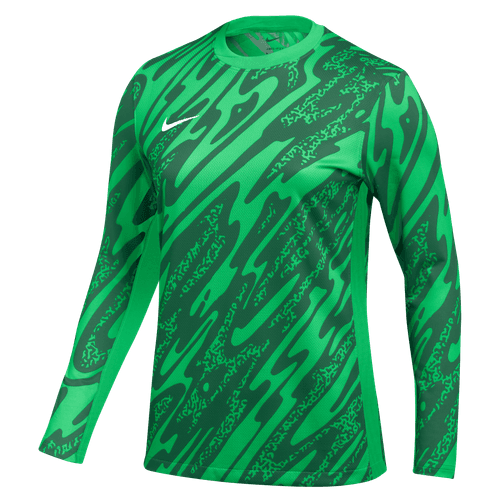 Nike Dri-FIT Gardien V GK Jersey US Women's Soccer Long-Sleeve Jersey
