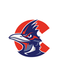 XRDS LOGO