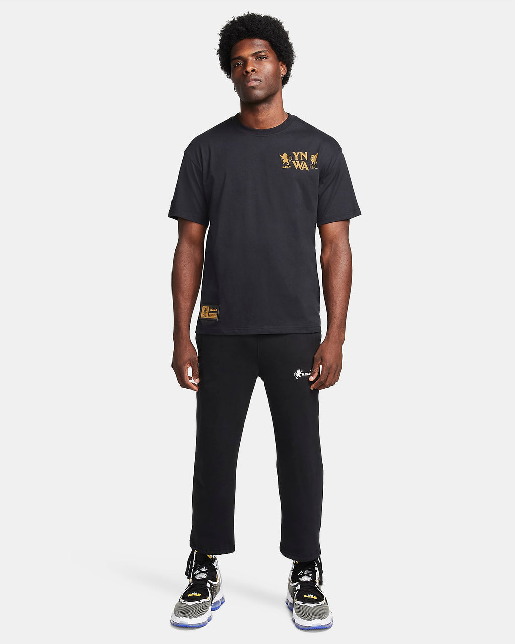 Nike Lebron Men's M90 Tee - FQ4906-010-NIKE by Nike | Available at Niky's Sports