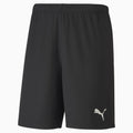 Puma Men's Team Goal 23 Knit Shorts
